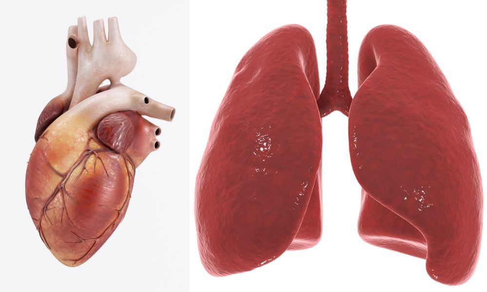 Nicotine vs Weed Addiction